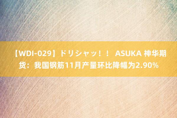 【WDI-029】ドリシャッ！！ ASUKA 神华期货：我国钢筋11月产量环比降幅为2.90%