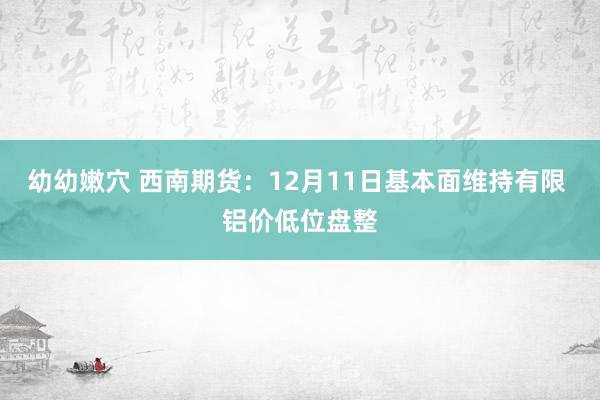 幼幼嫩穴 西南期货：12月11日基本面维持有限 铝价低位盘整