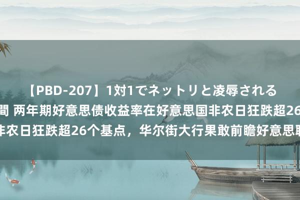 【PBD-207】1対1でネットリと凌辱されるプレミア女優たち 8時間 两年期好意思债收益率在好意思国非农日狂跌超26个基点，华尔街大行果敢前瞻好意思联储降息出息