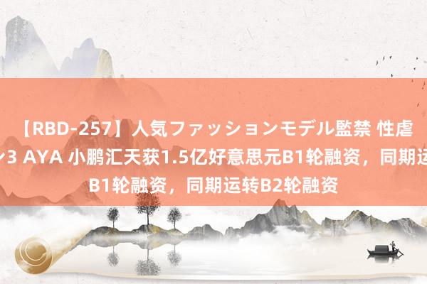 【RBD-257】人気ファッションモデル監禁 性虐コレクション3 AYA 小鹏汇天获1.5亿好意思元B1轮融资，同期运转B2轮融资