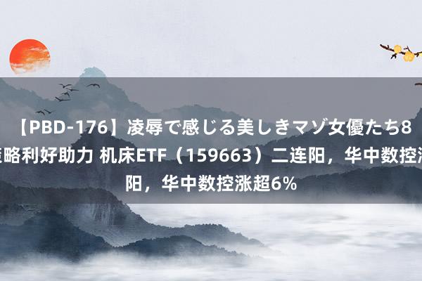 【PBD-176】凌辱で感じる美しきマゾ女優たち8時間 策略利好助力 机床ETF（159663）二连阳，华中数控涨超6%