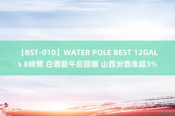 【BST-010】WATER POLE BEST 12GALs 8時間 白酒股午后回暖 山西汾酒涨超3%