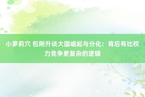 小萝莉穴 包刚升谈大国崛起与分化：背后有比权力竞争更复杂的逻辑