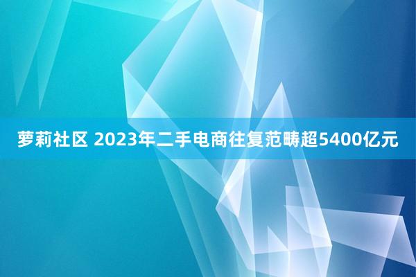 萝莉社区 2023年二手电商往复范畴超5400亿元