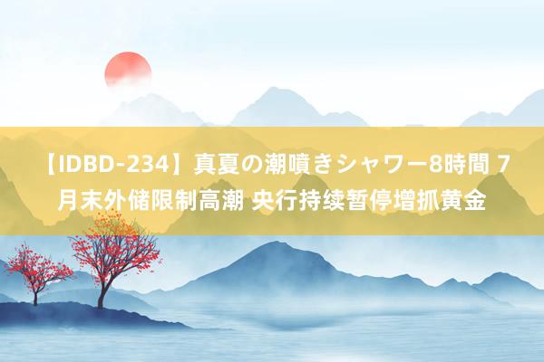 【IDBD-234】真夏の潮噴きシャワー8時間 7月末外储限制高潮 央行持续暂停增抓黄金