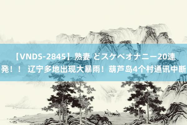 【VNDS-2845】熟妻 どスケベオナニー20連発！！ 辽宁多地出现大暴雨！葫芦岛4个村通讯中断