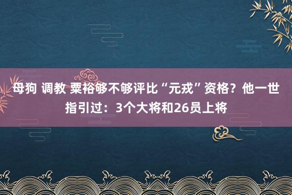 母狗 调教 粟裕够不够评比“元戎”资格？他一世指引过：3个大将和26员上将