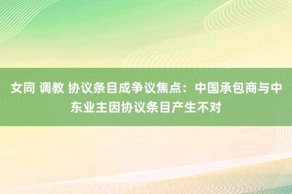 女同 调教 协议条目成争议焦点：中国承包商与中东业主因协议条目产生不对