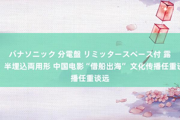 パナソニック 分電盤 リミッタースペース付 露出・半埋込両用形 中国电影“借船出海” 文化传播任重谈远