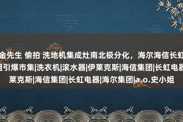 金先生 偷拍 洗地机集成灶南北极分化，海尔海信长虹好意思菱A.O.史小姐引爆市集|洗衣机|滚水器|伊莱克斯|海信集团|长虹电器|海尔集团|a.o.史小姐