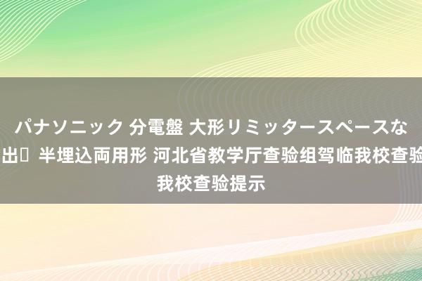 パナソニック 分電盤 大形リミッタースペースなし 露出・半埋込両用形 河北省教学厅查验组驾临我校查验提示