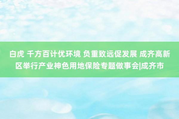 白虎 千方百计优环境 负重致远促发展 成齐高新区举行产业神色用地保险专题做事会|成齐市